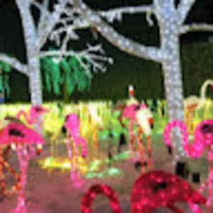 Meet your Posher, M h